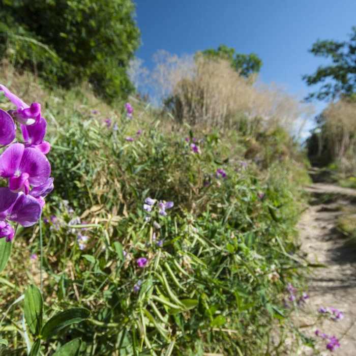 Near McClintock Trail Hike