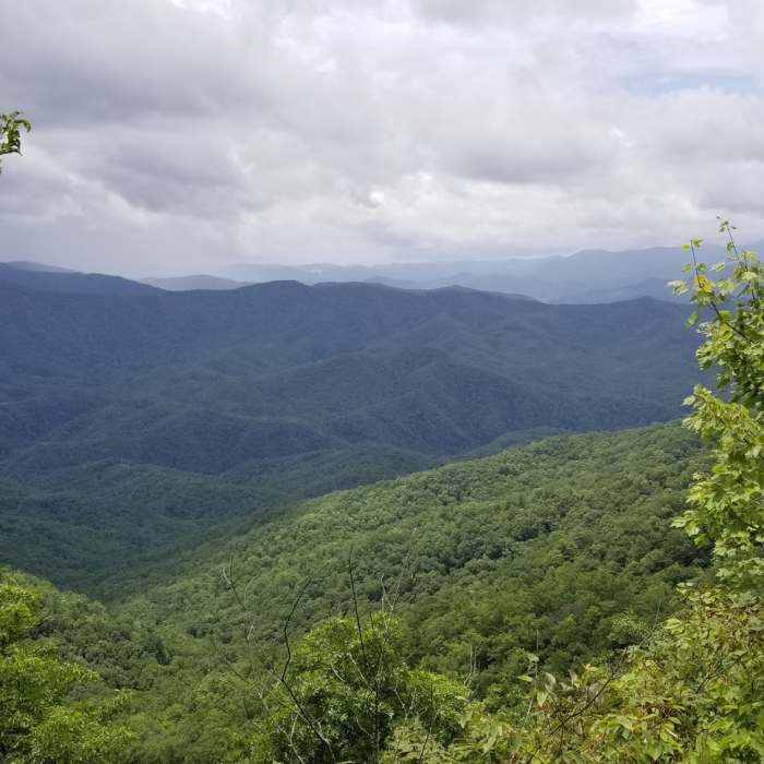 Near Fontana Dam - Shuckstack Fire Tower