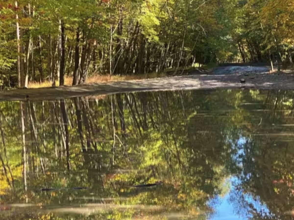 101 trail photo