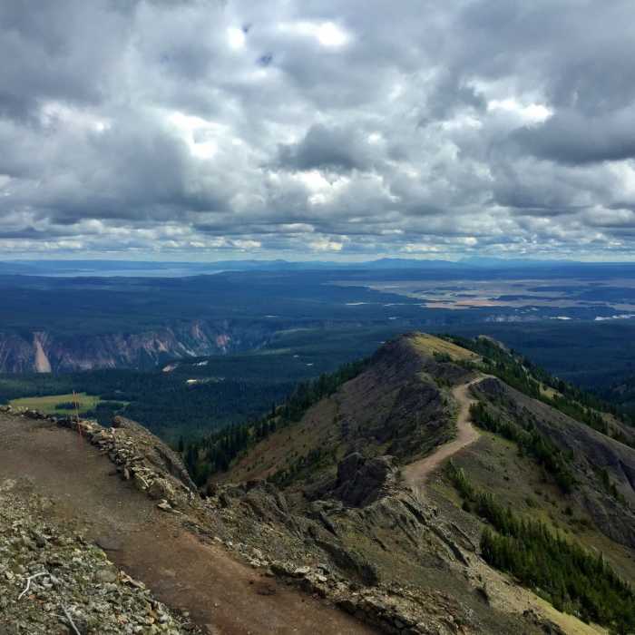 From the top of Mount Washburn the views are astounding! Near Mount Washburn