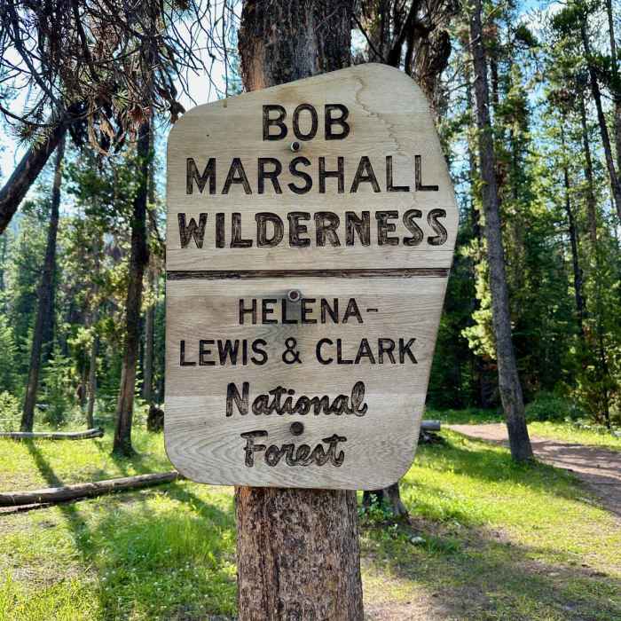 Near Continental Divide Trail: Straight Creek Alternate