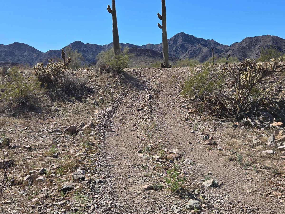 Power Line Trail trail photo