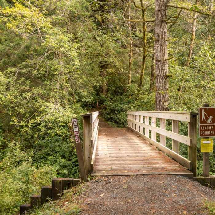 Near Eel Lake Trail Hike