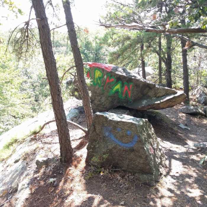 Near Espresso Trail North