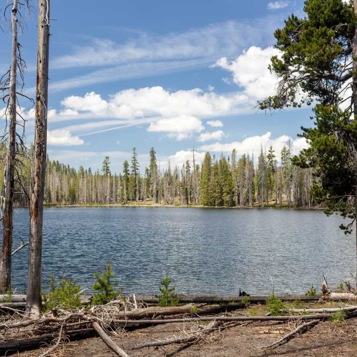 Near Rainbow Lake to Nobles Trail