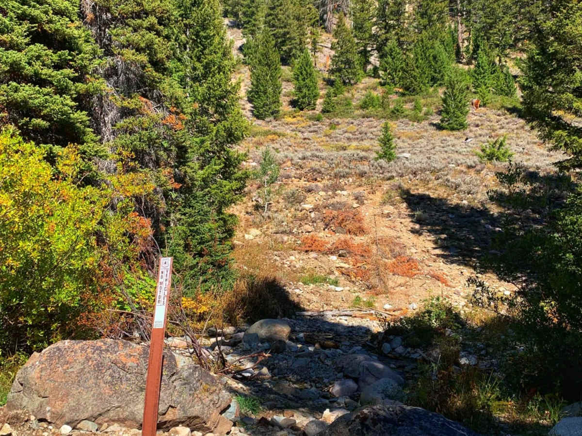 Boulder Creek Left Trail photo 2