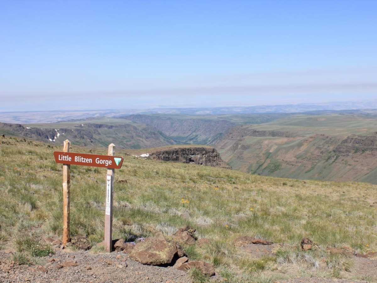 Steens Loop photo 3