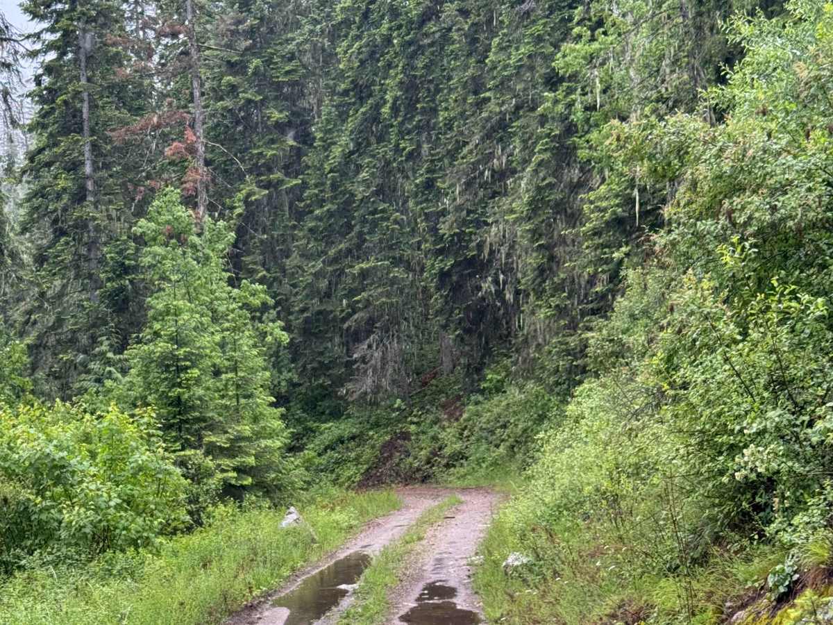 Media Creek - FS 1347 photo 6