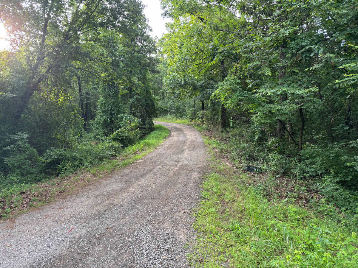 Gillian trail photo
