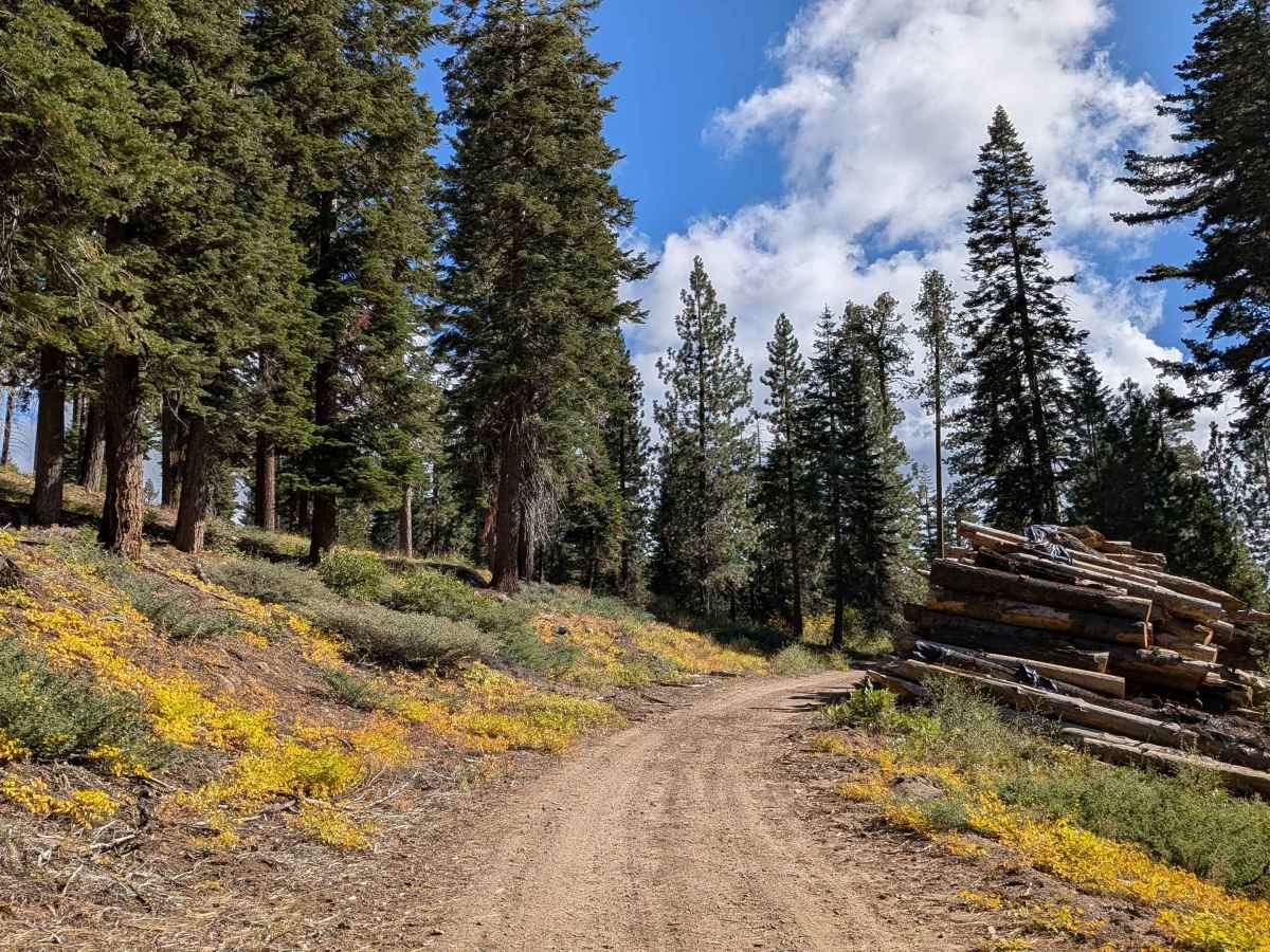 FS 5N17/18EV306 trail photo