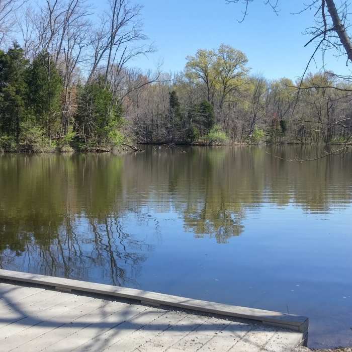 View of the Powel Crosley Lake from the boardwalk Near Perimeter Loop