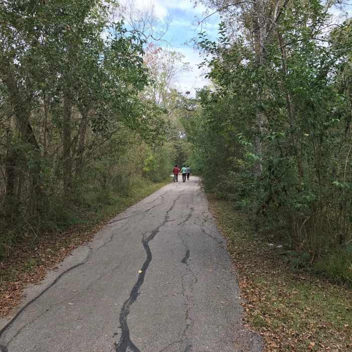 Near Herman Brown Pathway