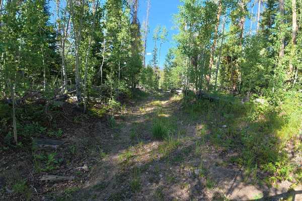 Willows Cabin Road - FS 280