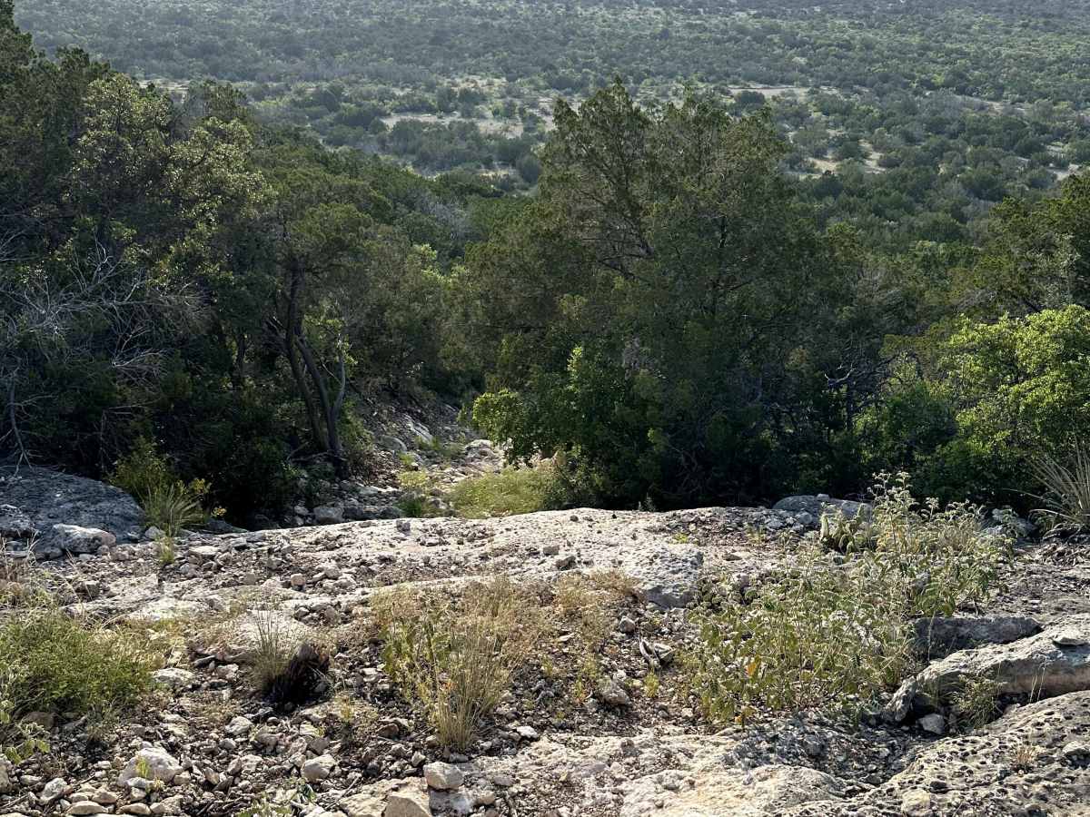 Drifter - V16 photo 5