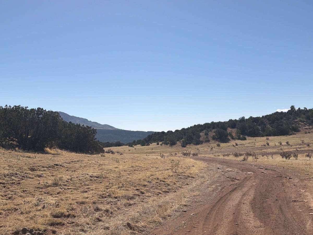BLM 5935C photo 5
