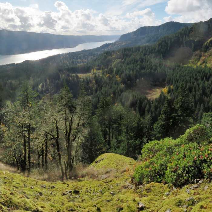 The view from Scott Point. Near Archer Mountain