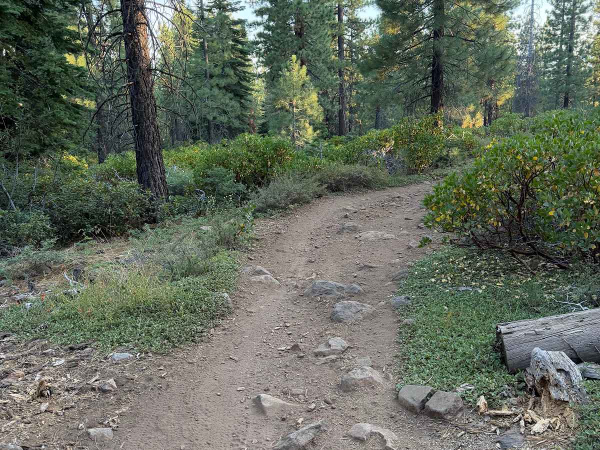 Rise and Shine (Lower) trail photo