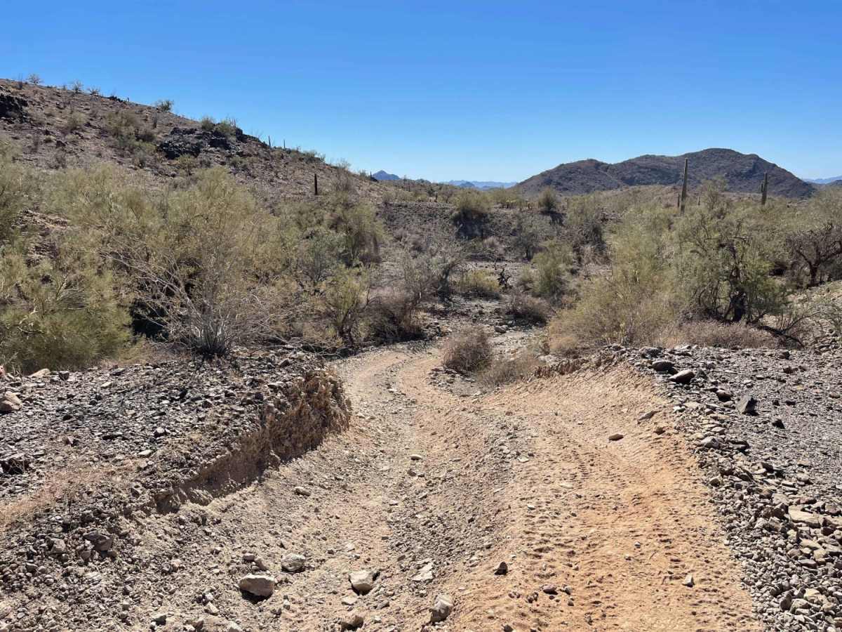 Michell Mine Road to Western Edge Trail photo 5