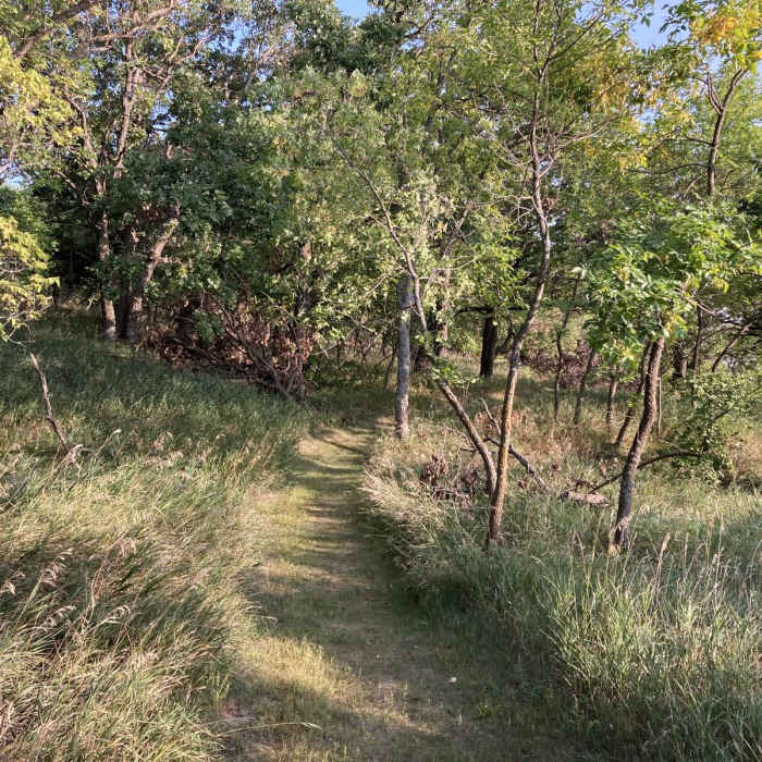 Near Hiking Club Trail at Big Stone Lake State Park Near Hiking Club Trail at Big Stone Lake State Park