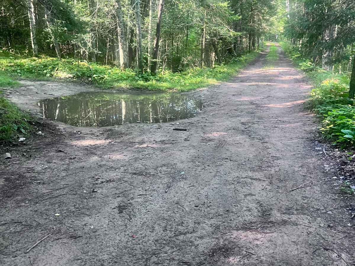Old Grave Road photo 4