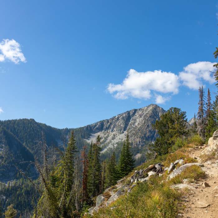 Near Eagle Lake Trail