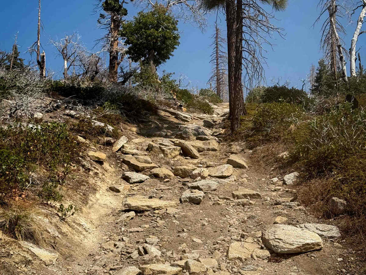 23E281 trail photo