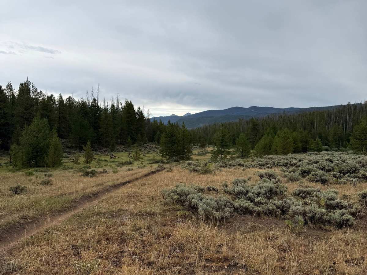 Whiskey Draw Trail photo 2
