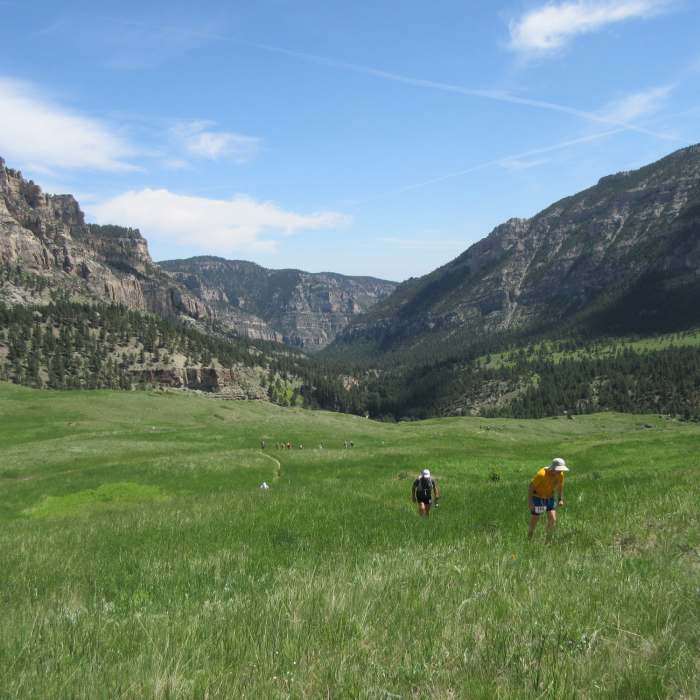 Near Tongue River Point-to-Point