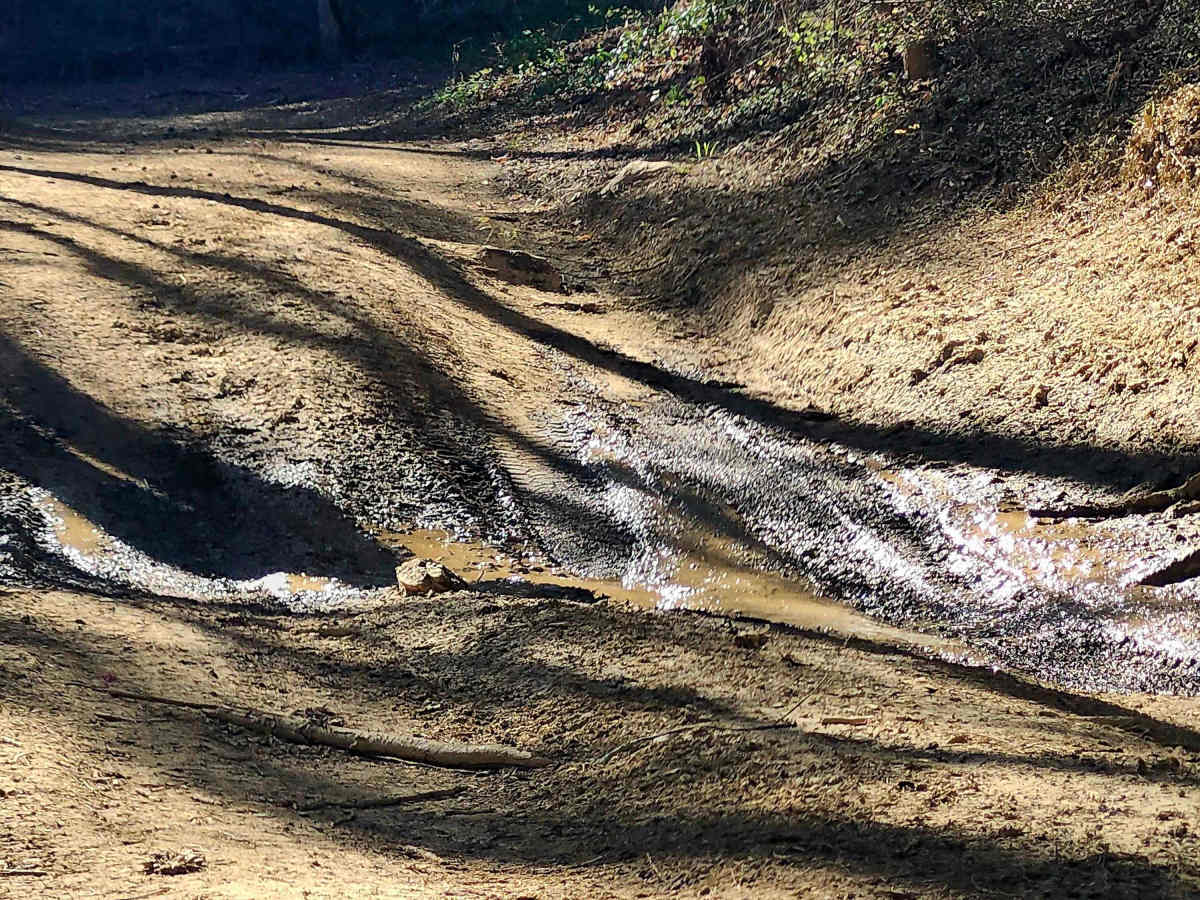 Branchwater Trail photo 5