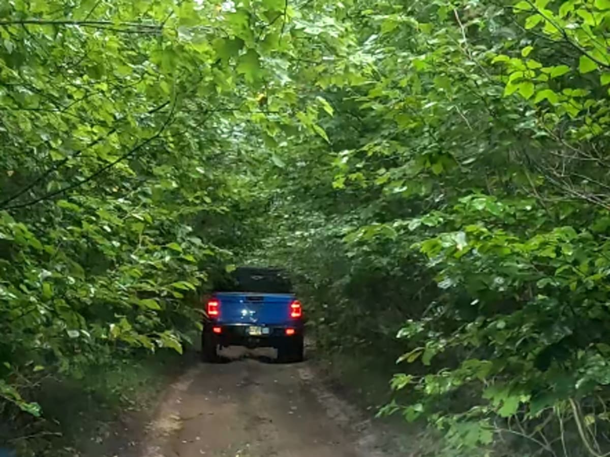 Scratchy Trail photo 2