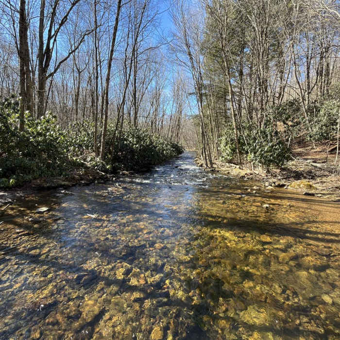 Near Hickory Run - Fireline - Skyline Loop