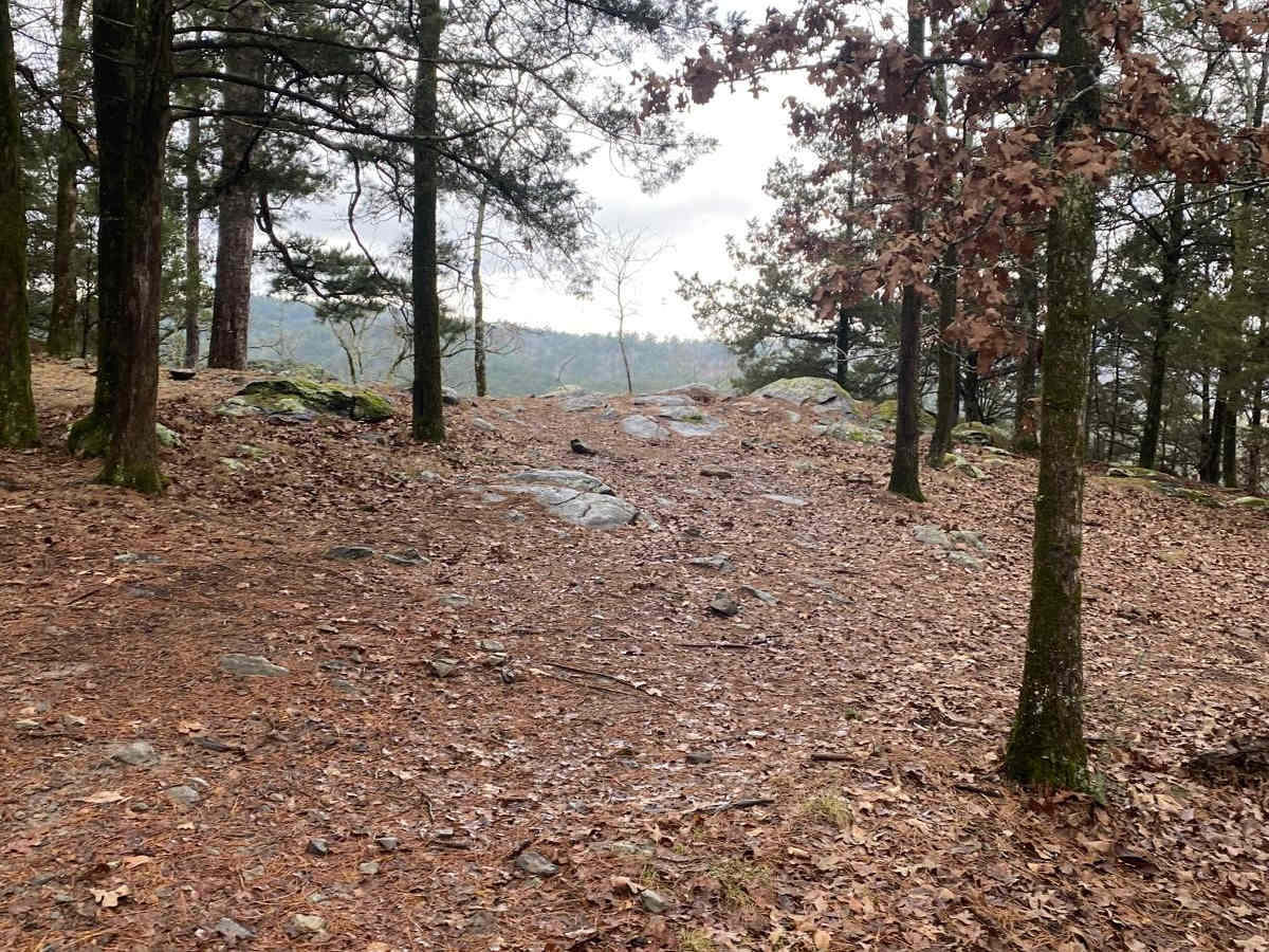 Rattlesnake Bluff photo 6