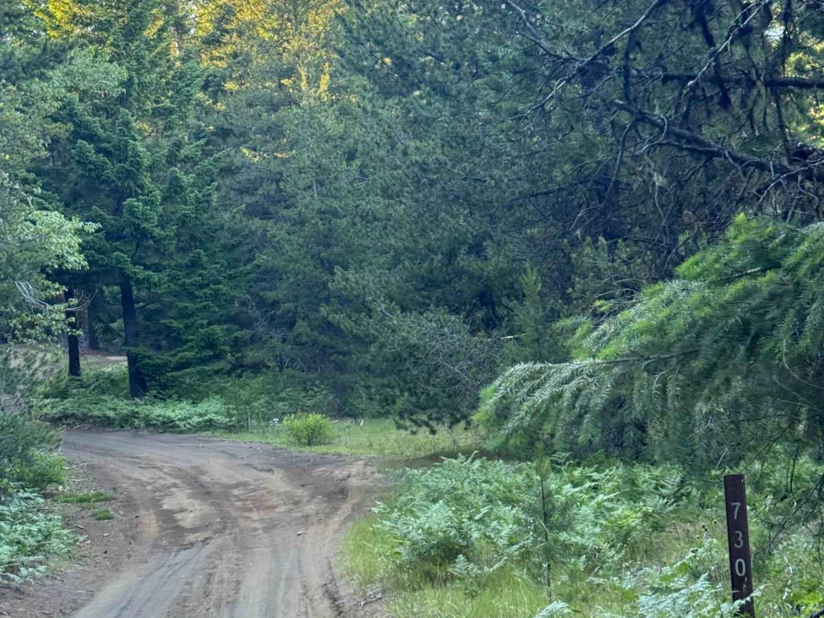 Dollar Nine Lake - FS 2076-730 photo 2