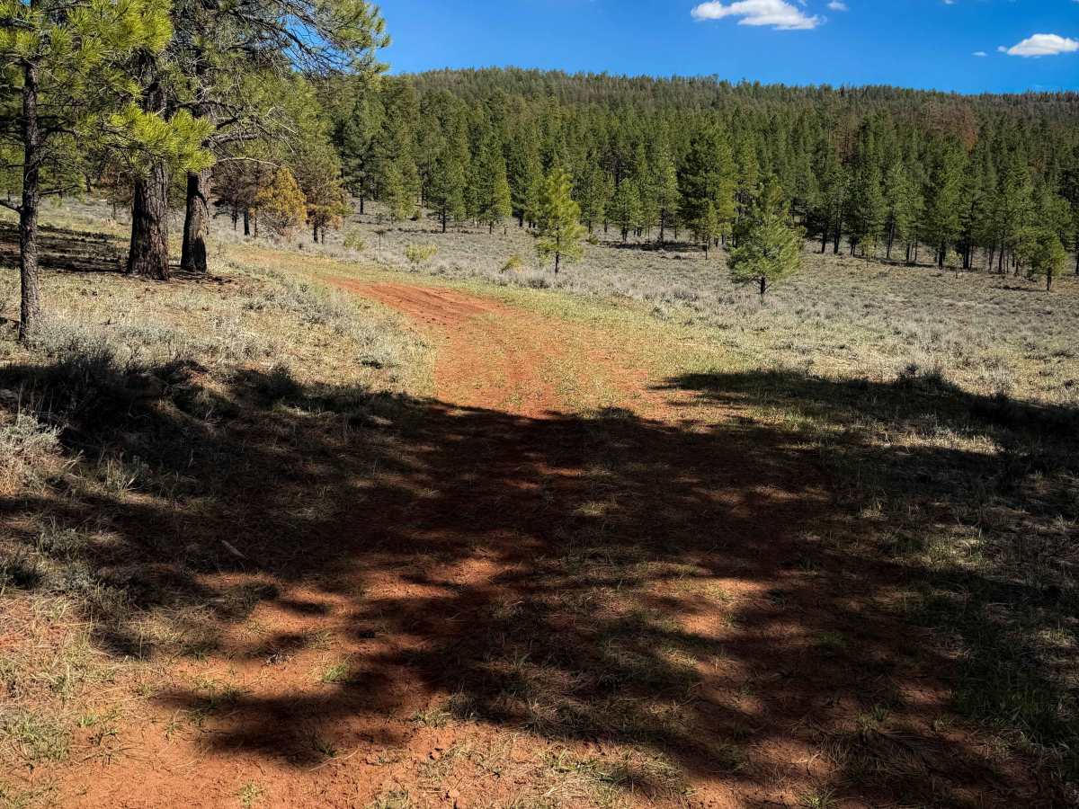 703 trail photo
