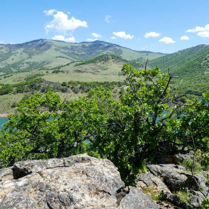 Near Songer Butte Trail