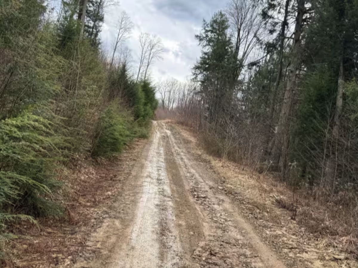 The Branch Spur A - FS 180A photo 2