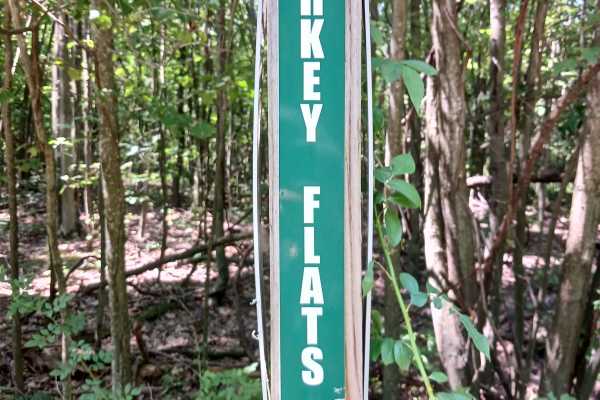 Turkey Flats Road - Rock Run Recreation Area