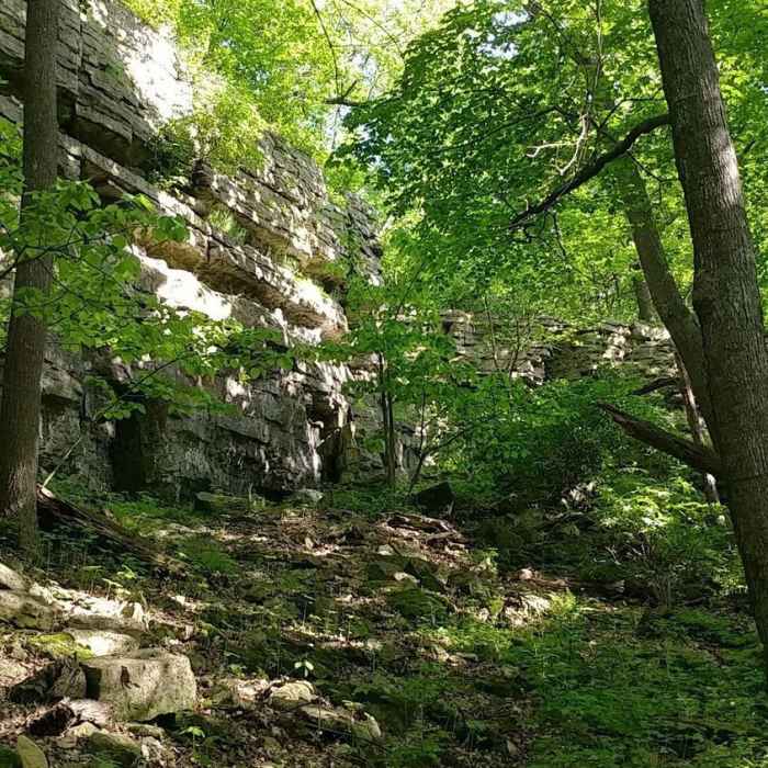 Near Lime Kiln Trail