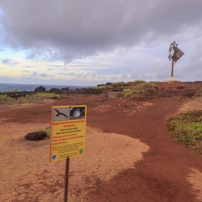 Near Koloa Heritage Trail: Keoneloa Bay