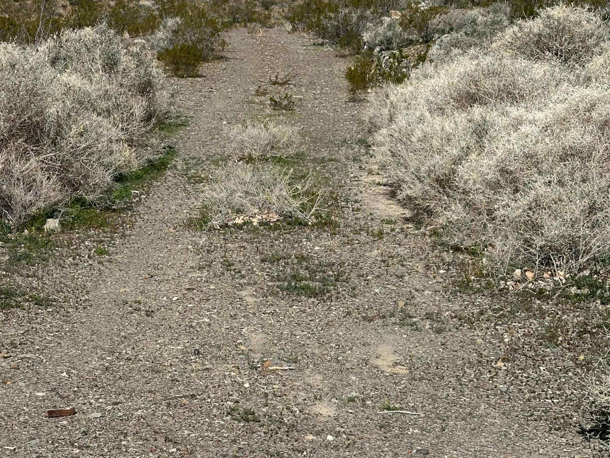 Reward Access photo 5