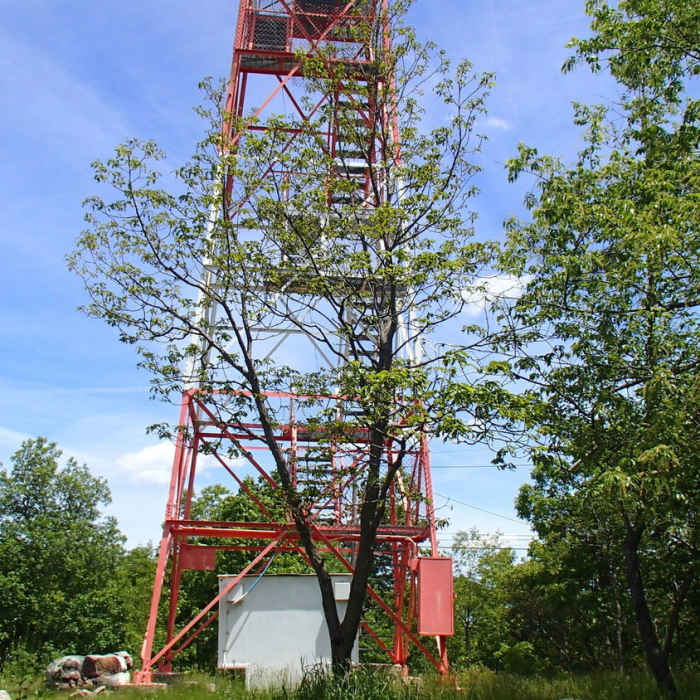 The Culver Fire Tower Near Stokes State Forest - AT / Stony Brook Trail / Tower Trail