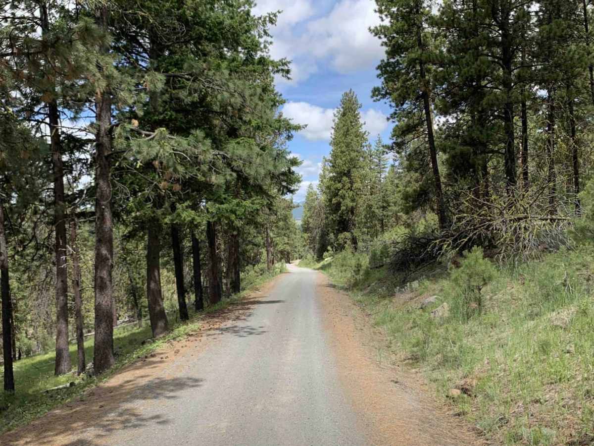 Malheur Ford photo 5