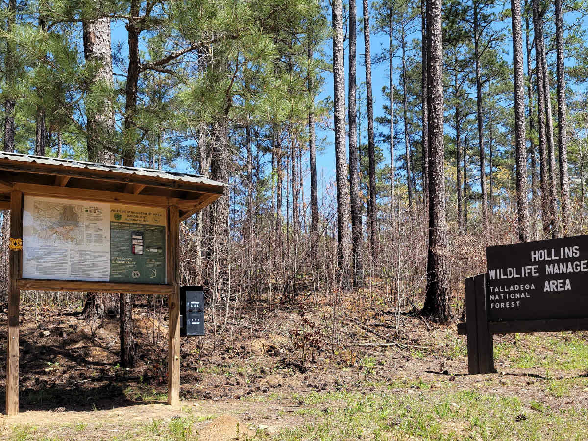 USFSR #616 Rocky Mount trail photo