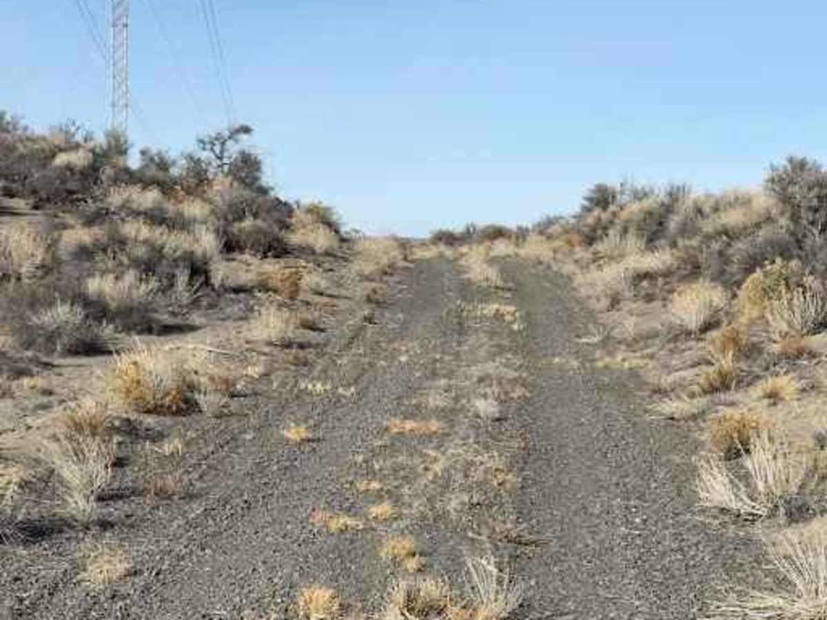 Christmas Valley Desert Crossing photo 6