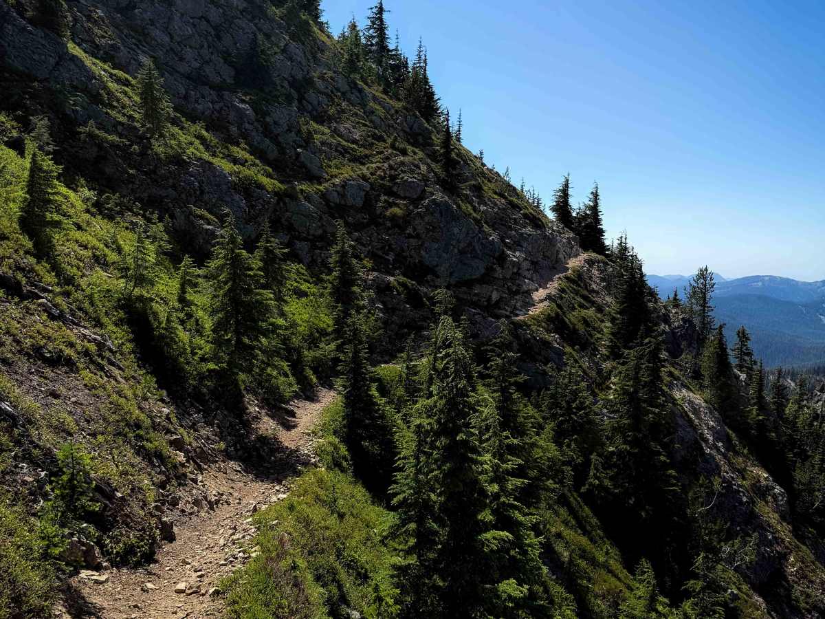Upper Mount Clifty - FS 1321.1  photo 4