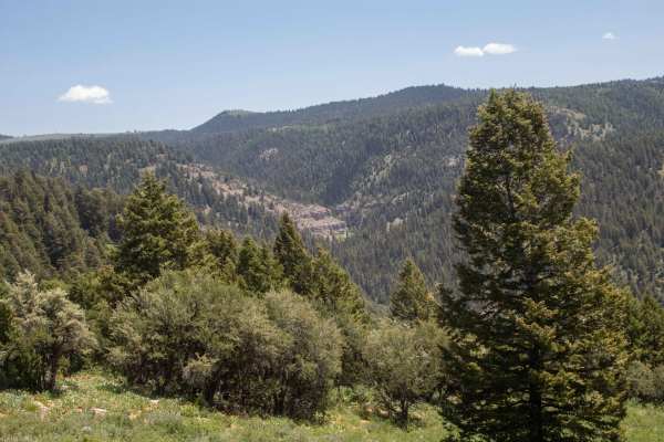 Baxter Ridge Road