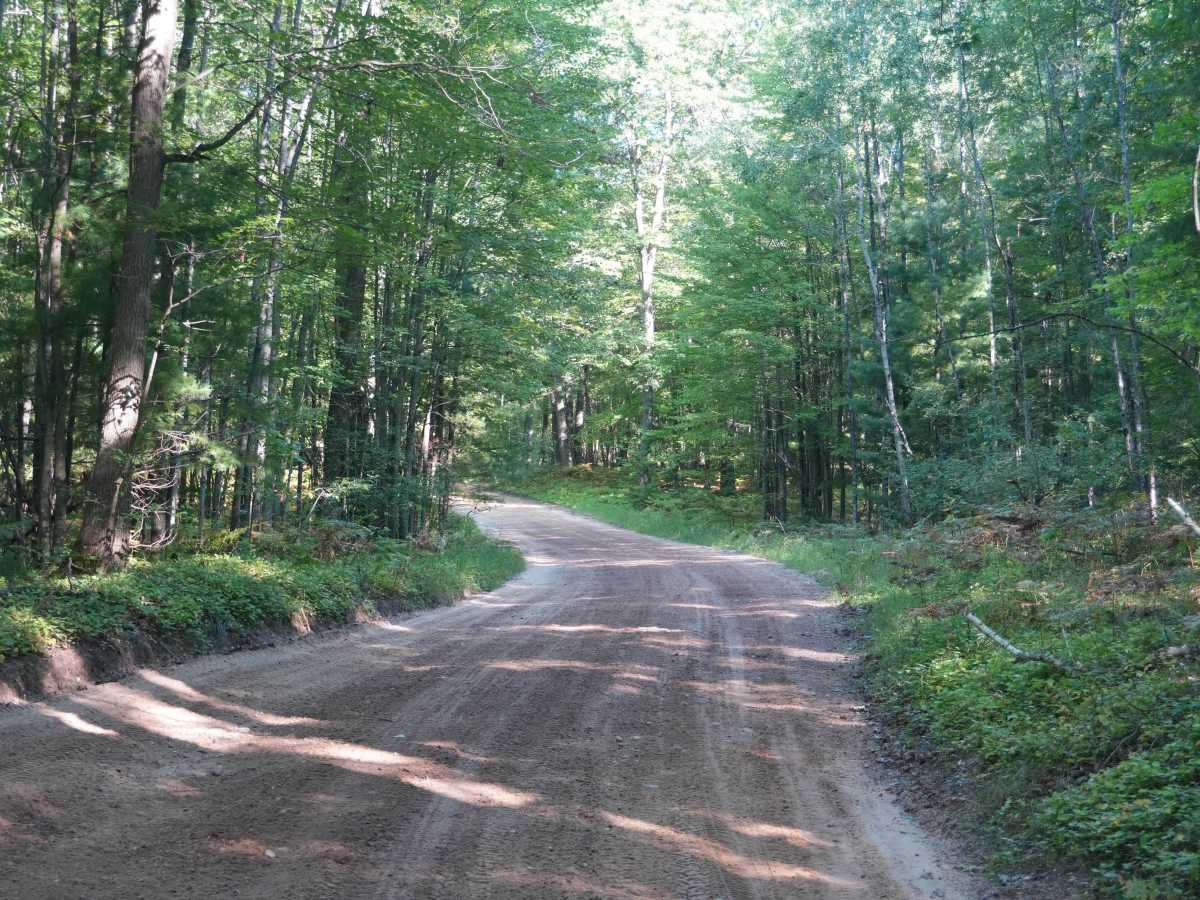 Dunham Lake Road photo 5
