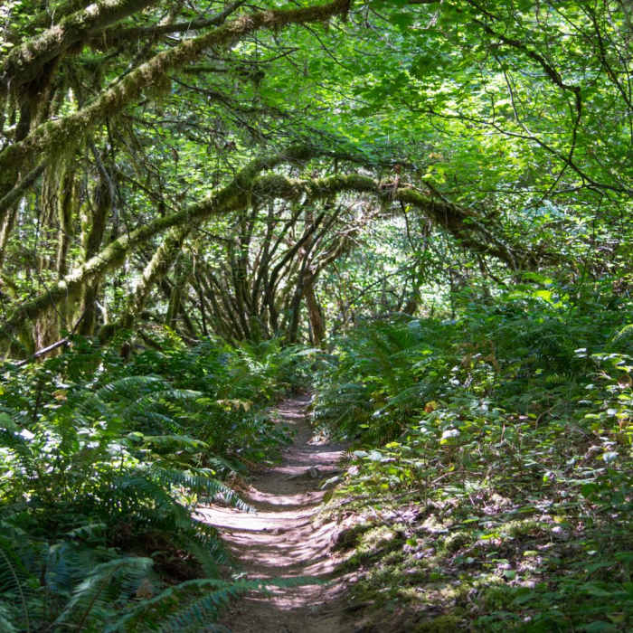 Near Eagles Rest Trail