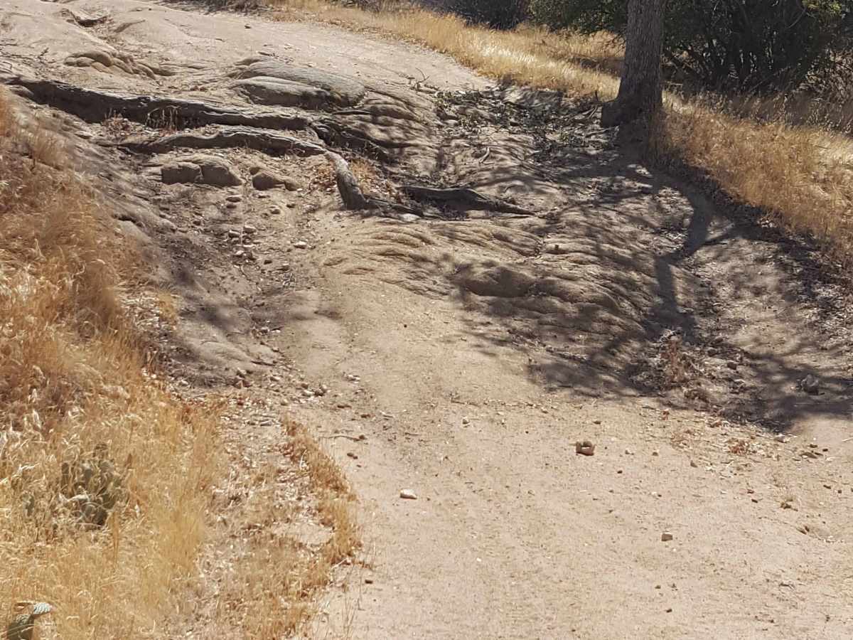 Dutch Flat Trail photo 4