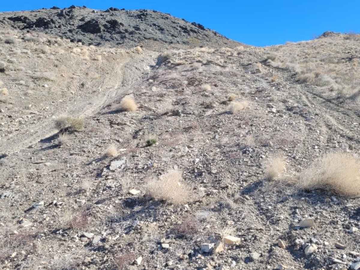 Trail 71 photo 4